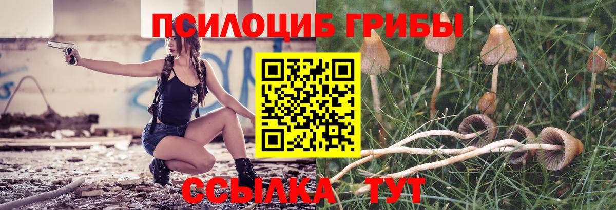 Кимовск  Галлюциногенные грибы Psilocybine cubensis  где найти наркотики  Галлюциногенные грибы мицелий  Вход с VPN 