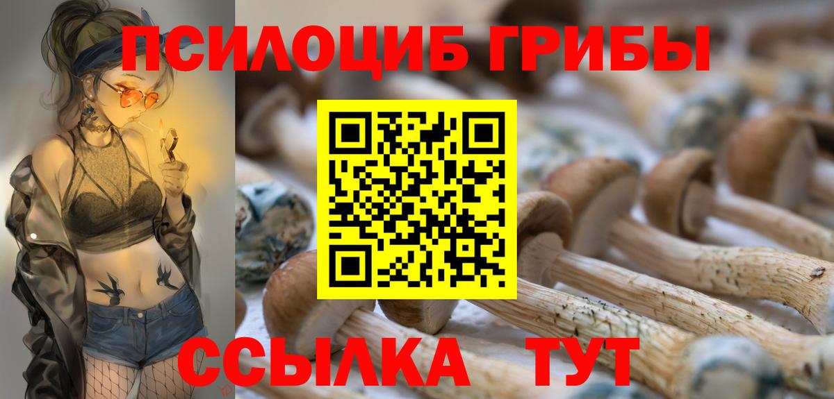 Галлюциногенные грибы Psilocybine cubensis Кимовск
